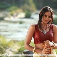 Karthika Nair - Ravi Varma Movie Hot Stills | Picture 291342