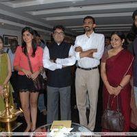 Celebs at Muse Art Gallery - Photos | Picture 291541