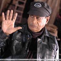 M. S. Narayana - Gaja Donga Movie Latest Stills | Picture 293323