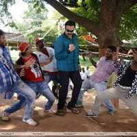 Oke Okka Chance Movie Song Coverage Photos | Picture 293525