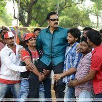 Oke Okka Chance Movie Song Coverage Photos | Picture 293533