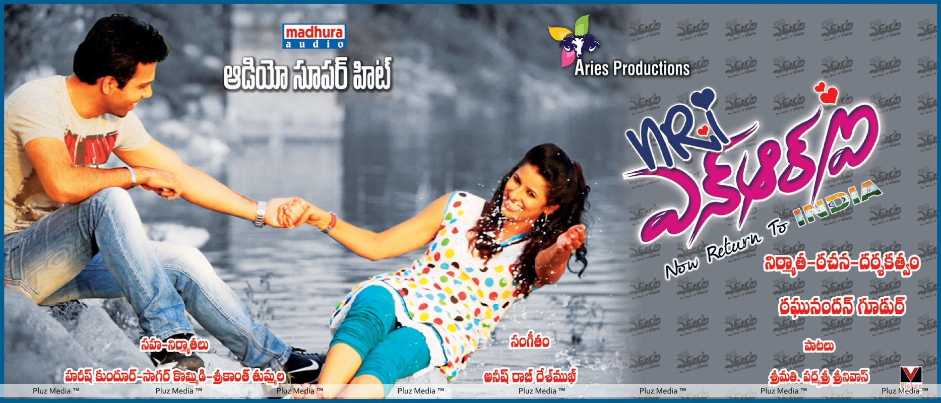 NRI Movie Posters | Picture 295133