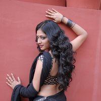 Haripriya Hot Saree Pictures | Picture 299009
