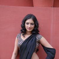 Haripriya Hot Saree Pictures | Picture 299018
