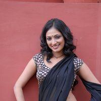 Haripriya Hot Saree Pictures | Picture 299025