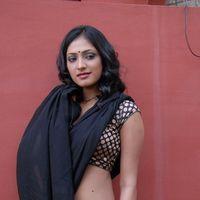 Haripriya Hot Saree Pictures | Picture 299027