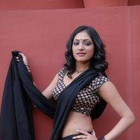 Haripriya Hot Saree Pictures | Picture 299035
