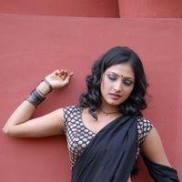 Haripriya Hot Saree Pictures | Picture 299057