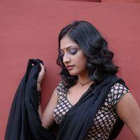 Haripriya Hot Saree Pictures | Picture 299059