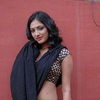 Haripriya Hot Saree Pictures | Picture 299072