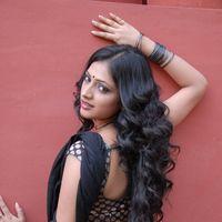 Haripriya Hot Saree Pictures | Picture 299087