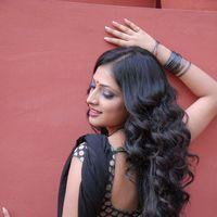 Haripriya Hot Saree Pictures | Picture 299088