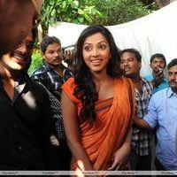 Amala Paul - Iddarammayilatho Movie Opening Photos | Picture 300242