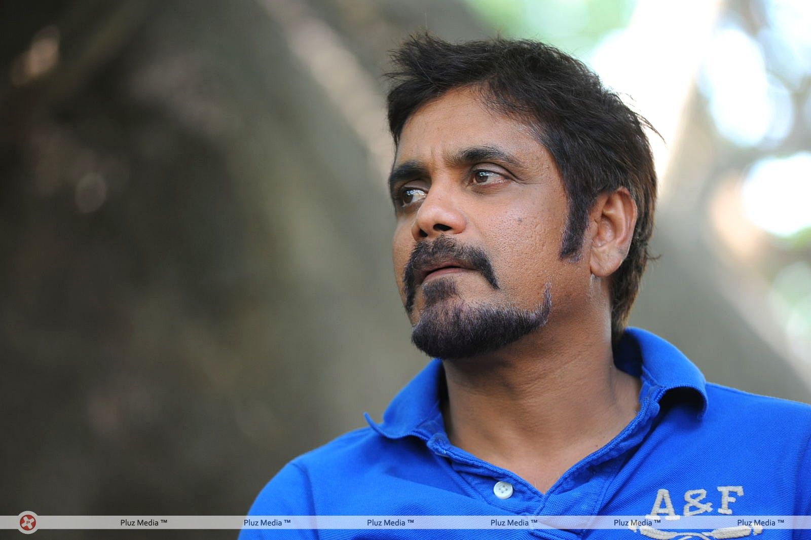 Nagarjuna Latest Photos | Picture 300101