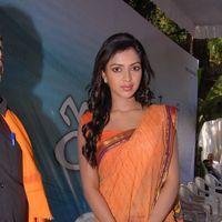 Amala Paul Photos in Saree at  Iddarammayilatho Movie Opening | Picture 299904