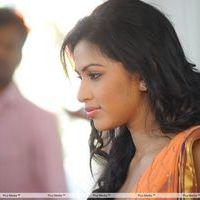 Amala Paul Photos in Saree at  Iddarammayilatho Movie Opening | Picture 299914