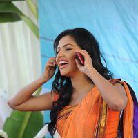 Amala Paul Photos in Saree at  Iddarammayilatho Movie Opening | Picture 299915