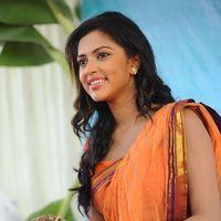 Amala Paul Photos in Saree at  Iddarammayilatho Movie Opening | Picture 299916