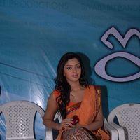 Amala Paul Photos in Saree at  Iddarammayilatho Movie Opening | Picture 299923