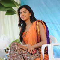 Amala Paul Photos in Saree at  Iddarammayilatho Movie Opening | Picture 299956