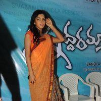 Amala Paul Photos in Saree at  Iddarammayilatho Movie Opening | Picture 299964