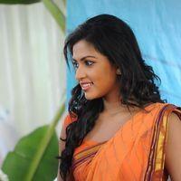 Amala Paul Photos in Saree at  Iddarammayilatho Movie Opening | Picture 299974