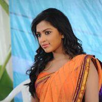 Amala Paul Photos in Saree at  Iddarammayilatho Movie Opening | Picture 299975