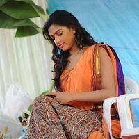 Amala Paul Photos in Saree at  Iddarammayilatho Movie Opening | Picture 299981