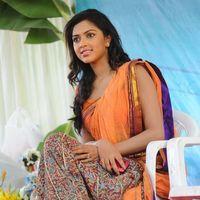 Amala Paul Photos in Saree at  Iddarammayilatho Movie Opening | Picture 299989