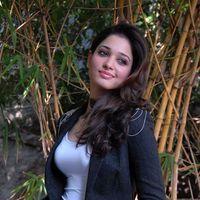 Tamanna Latest Photos | Picture 304096