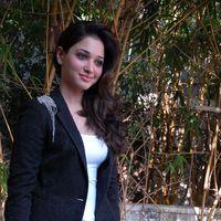 Tamanna Latest Photos | Picture 304141