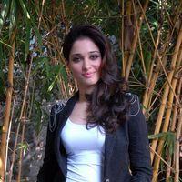 Tamanna Latest Photos | Picture 304155