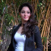 Tamanna Latest Photos | Picture 304160