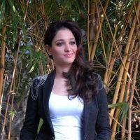 Tamanna Latest Photos | Picture 304174