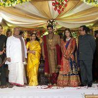 Brahmanandam Son Gautam Wedding Reception Photos | Picture 306533