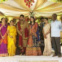 Brahmanandam Son Gautam Wedding Reception Photos | Picture 306535