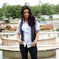 Bhumika Chawla - April Fool Telugu Movie Stills | Picture 309306