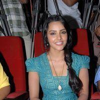 Priya Anand Latest Stills at English Vinglish Movie Press Meet | Picture 265103