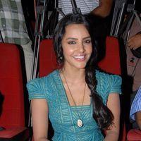 Priya Anand Latest Stills at English Vinglish Movie Press Meet | Picture 265157