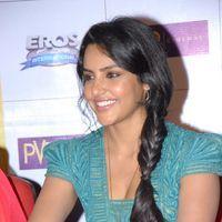 Priya Anand Latest Stills at English Vinglish Movie Press Meet | Picture 265165