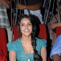 Priya Anand Latest Stills at English Vinglish Movie Press Meet | Picture 265174