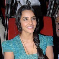 Priya Anand Latest Stills at English Vinglish Movie Press Meet | Picture 265182