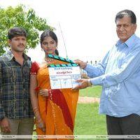 Uttaram Movie Opening Photos | Picture 269408