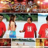 Vennela One And Half Movie Wallpapers