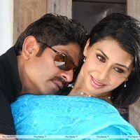 Aaru Telugu Movie Stills | Picture 271898