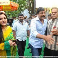 Jayaprada New film Opening Photos