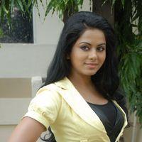 Rachana Mourya Latest Hot Stills | Picture 273478