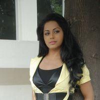 Rachana Mourya Latest Hot Stills | Picture 273494