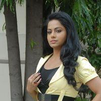 Rachana Mourya Latest Hot Stills | Picture 273512