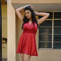 Priyanka Tiwari Latest Hot Photos | Picture 275573